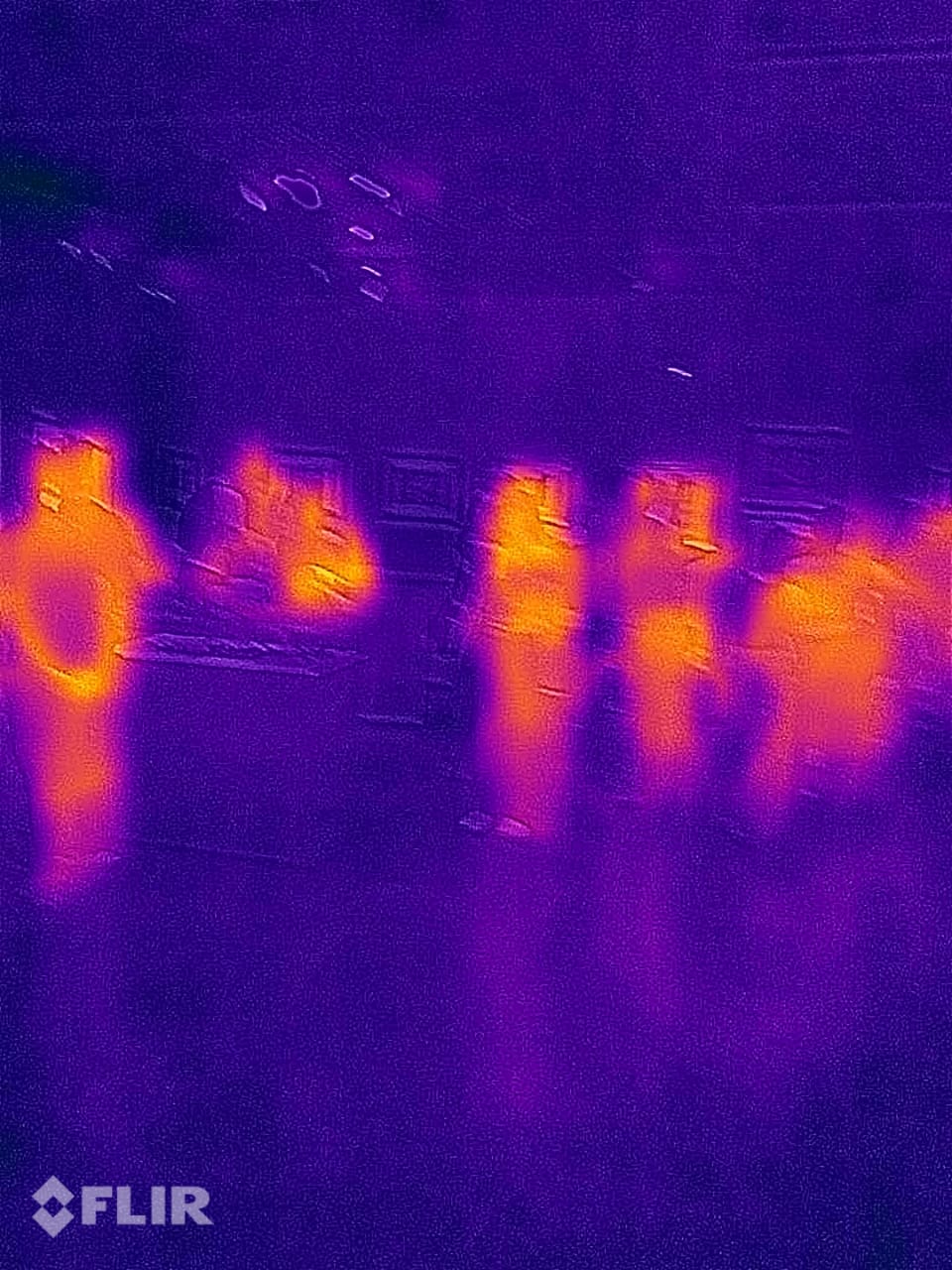 La vida en modo térmico — ¿Qué es realmente “ver en térmico”?