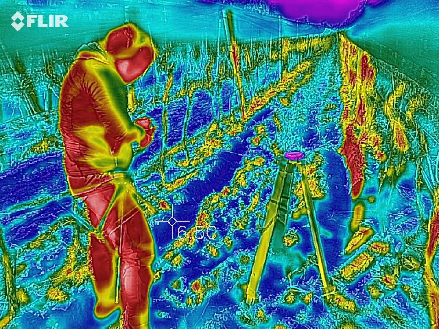 La vida en modo térmico: ver lo invisible