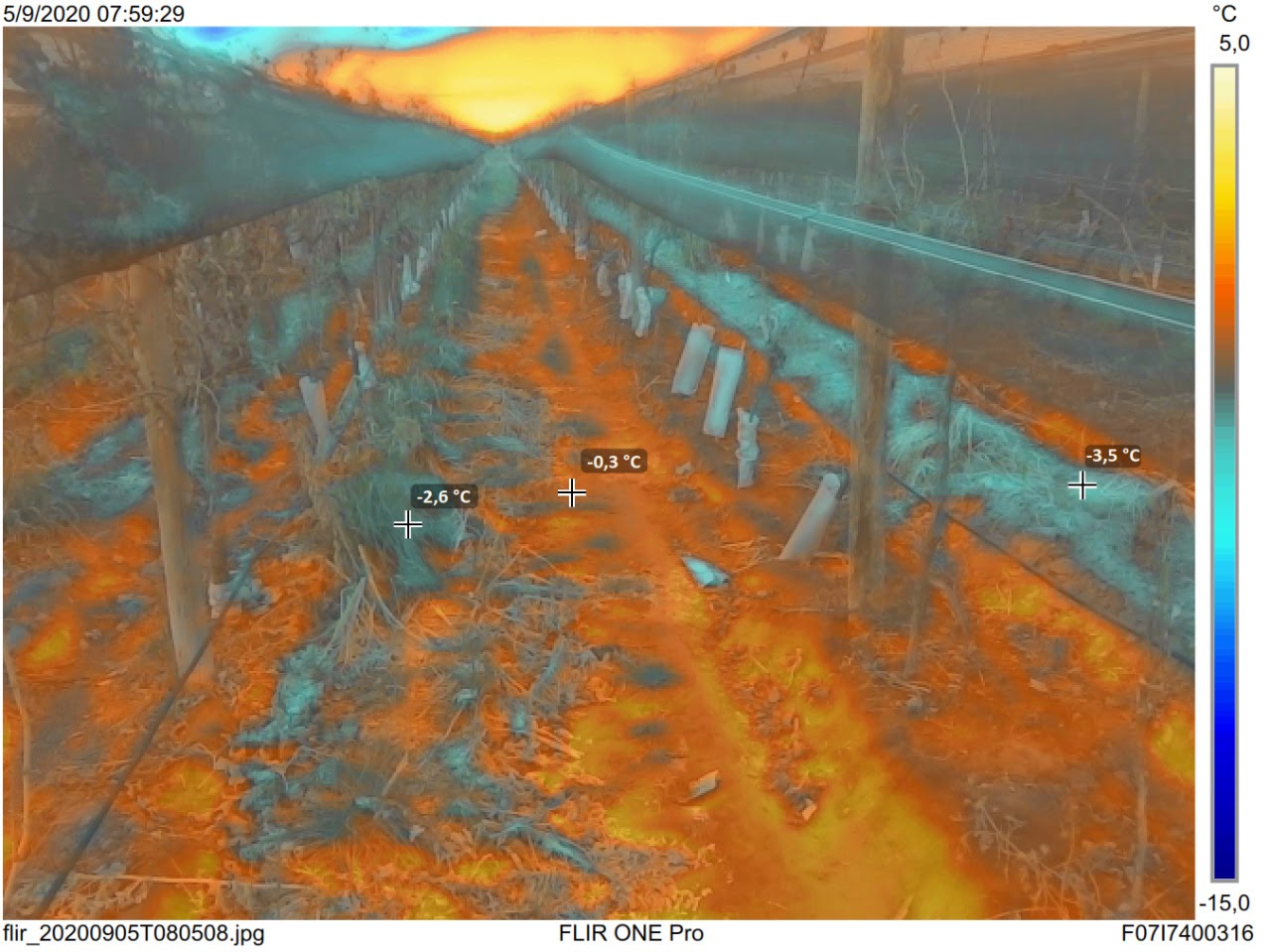 Plantaron el “vino del futuro” (Año 1). Están en Año 8 y siguen plantando. Hablemos del “Terroir Térmico” 📣